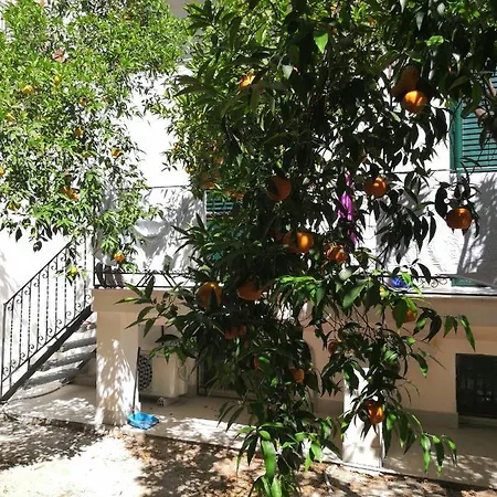 Garden House: And For Holidays